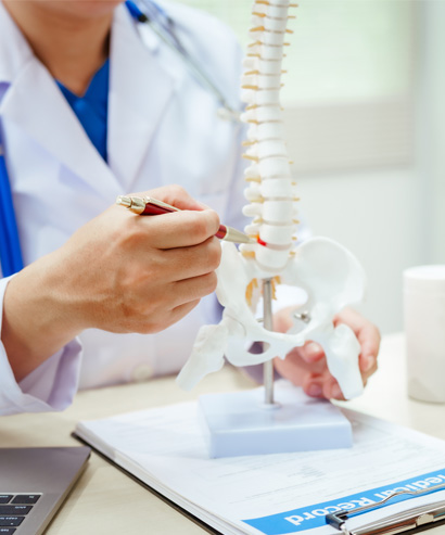 Chiropractic Care img
