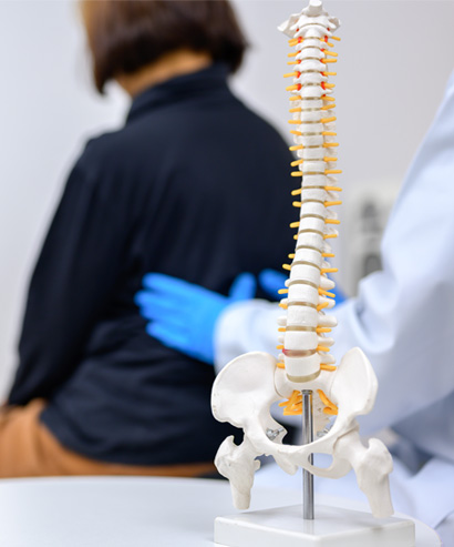 Multidisciplinary Programs img